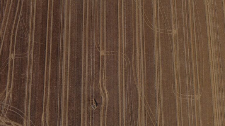 Harvested wheat field from drone.